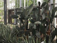 iphone_upload_pic-上海多利农业发展有限公司