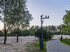 -东郊湿地公园
