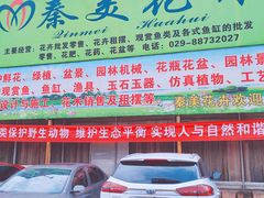 -秦美花卉(天朗·莱茵小城2期店)