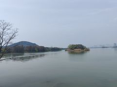 -长广溪湿地公园