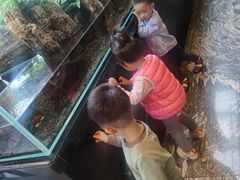 -泰谷酒店·太古码头闽菜自助餐厅