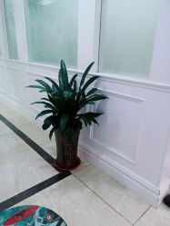 -重庆军科整形美容医院