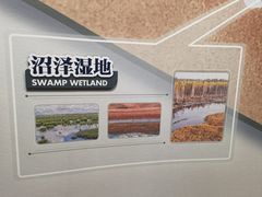-中国湿地博物馆