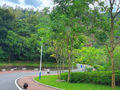-火炉山森林公园