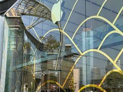 -Apple零售店(天环广场店)