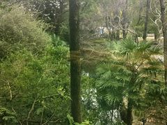 -御花园·粤菜·海鲜火锅(中山公园店)