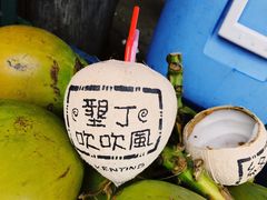 -鹅銮鼻公园