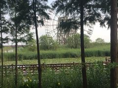 -太湖湖滨国家湿地公园-停车场