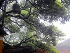 -普陀山风景名胜区-法雨禅寺