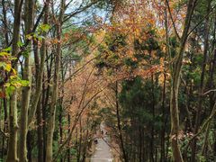 -窦圌山风景区