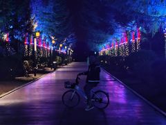-美利达自行车(长春同光路店)