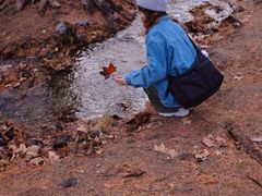 -白水寺森林公园