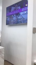 -YESIDO椰岛造型