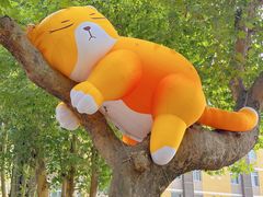 -西安电影制片厂