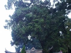 -七曲山风景区