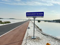 -南大港湿地风景区