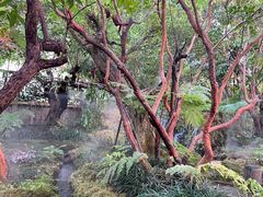 -Chom Cafe and Restaurant