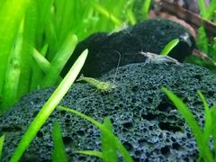 -上海海洋水族馆