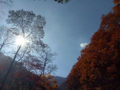-龙道沟景区