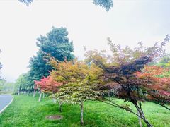 -洨河生态公园
