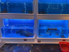 -金苑海鲜酒家(来魅力店)