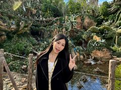 -奥兰多迪士尼动物王国乐园