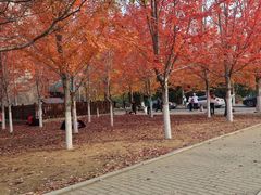 -辽宁大学(崇山校区)