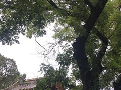 -北京国子监胡同