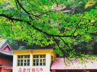 里面很大,就走了半小时就下来了,但是风景很美