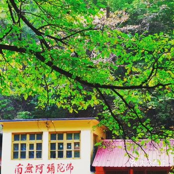 里面很大,就走了半小时就下来了,但是风景很美