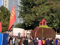 -康庄公园