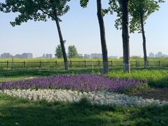 -汉长安城未央宫国家考古遗址公园