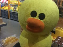 -line friends(明洞旗舰店)