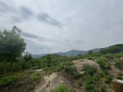 -白水寺森林公园