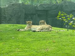 -北京野生动物园