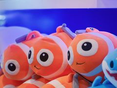 -上海海洋水族馆