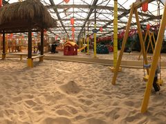 -南宫五洲植物乐园