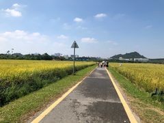 -光明小镇欢乐田园
