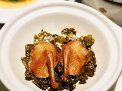 -璞肴中餐厅(深铁铂尔曼店)