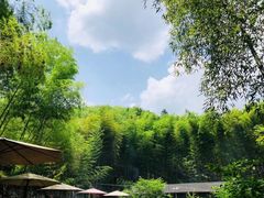 -宁波浙东大竹海景区