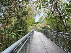 -佛山华盖山公园