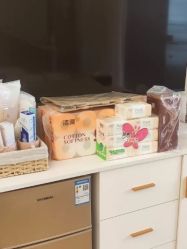 -维倪月子会所(独栋庭院·南海店)