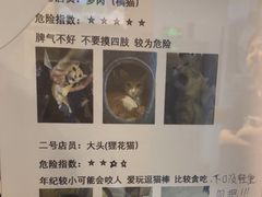 -逃脱反斗城沉浸剧情密室(北京路店)