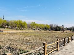-北京奥林匹克公园