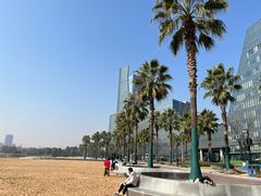 -金沙湖公园