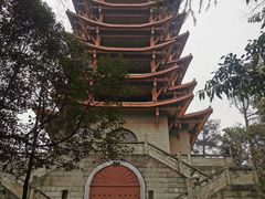 -缙云山景区