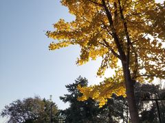 -大雁塔北广场音乐喷泉