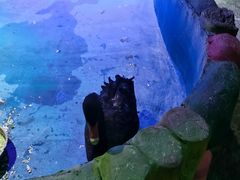 -白鹿仓冰雪海洋世界