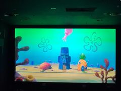 -龙之星国际影城(太平店)