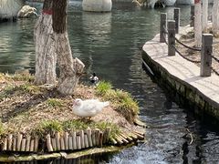 -水磨沟公园